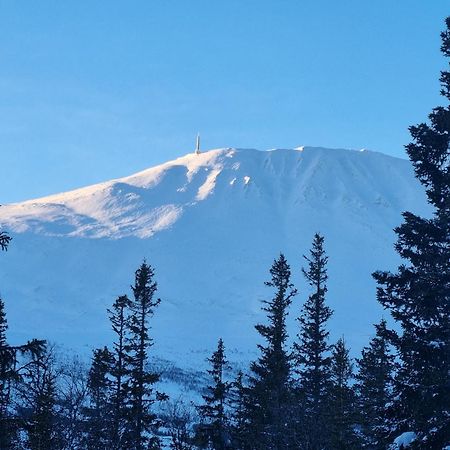 Ny Leilighet Med Flott Utsikt Til Gaustatoppen Rjukan Buitenkant foto