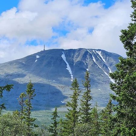 Ny Leilighet Med Flott Utsikt Til Gaustatoppen Rjukan Buitenkant foto