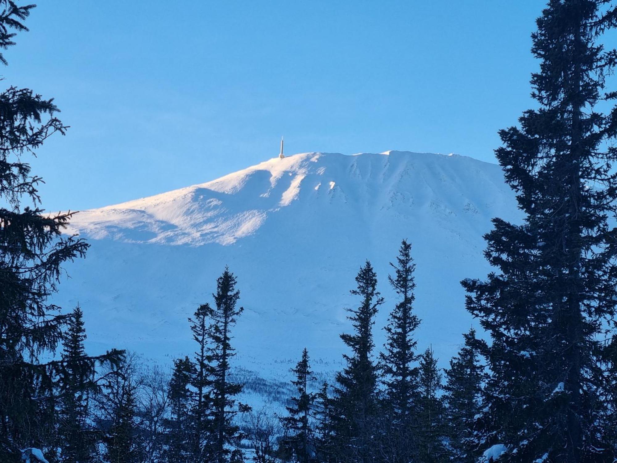 Ny Leilighet Med Flott Utsikt Til Gaustatoppen Rjukan Buitenkant foto