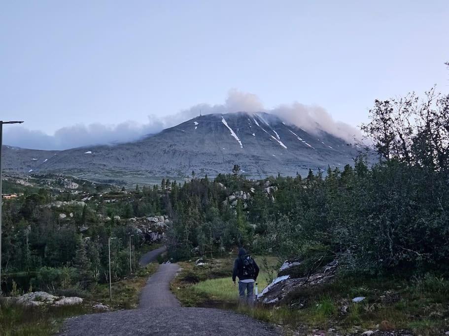 Ny Leilighet Med Flott Utsikt Til Gaustatoppen Rjukan Buitenkant foto
