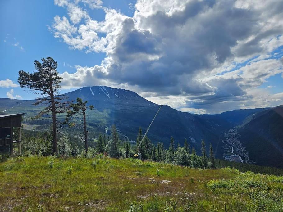 Ny Leilighet Med Flott Utsikt Til Gaustatoppen Rjukan Buitenkant foto