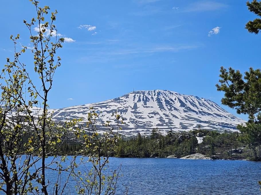 Ny Leilighet Med Flott Utsikt Til Gaustatoppen Rjukan Buitenkant foto
