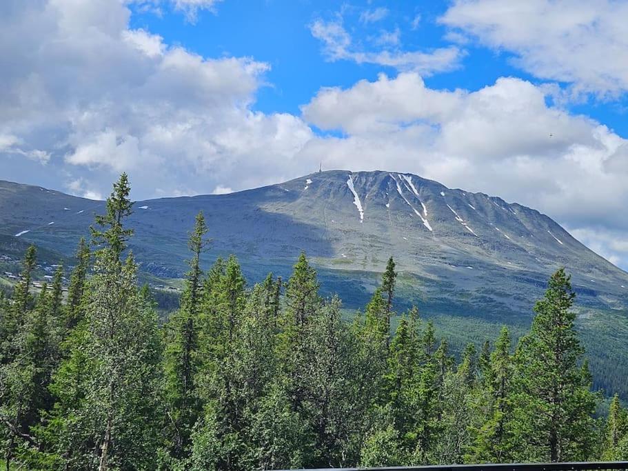 Ny Leilighet Med Flott Utsikt Til Gaustatoppen Rjukan Buitenkant foto
