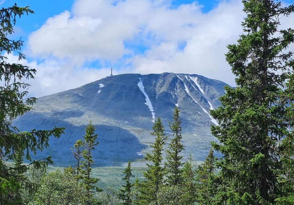 Ny Leilighet Med Flott Utsikt Til Gaustatoppen Rjukan Buitenkant foto