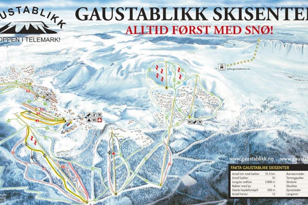 Ny Leilighet Med Flott Utsikt Til Gaustatoppen Rjukan Buitenkant foto
